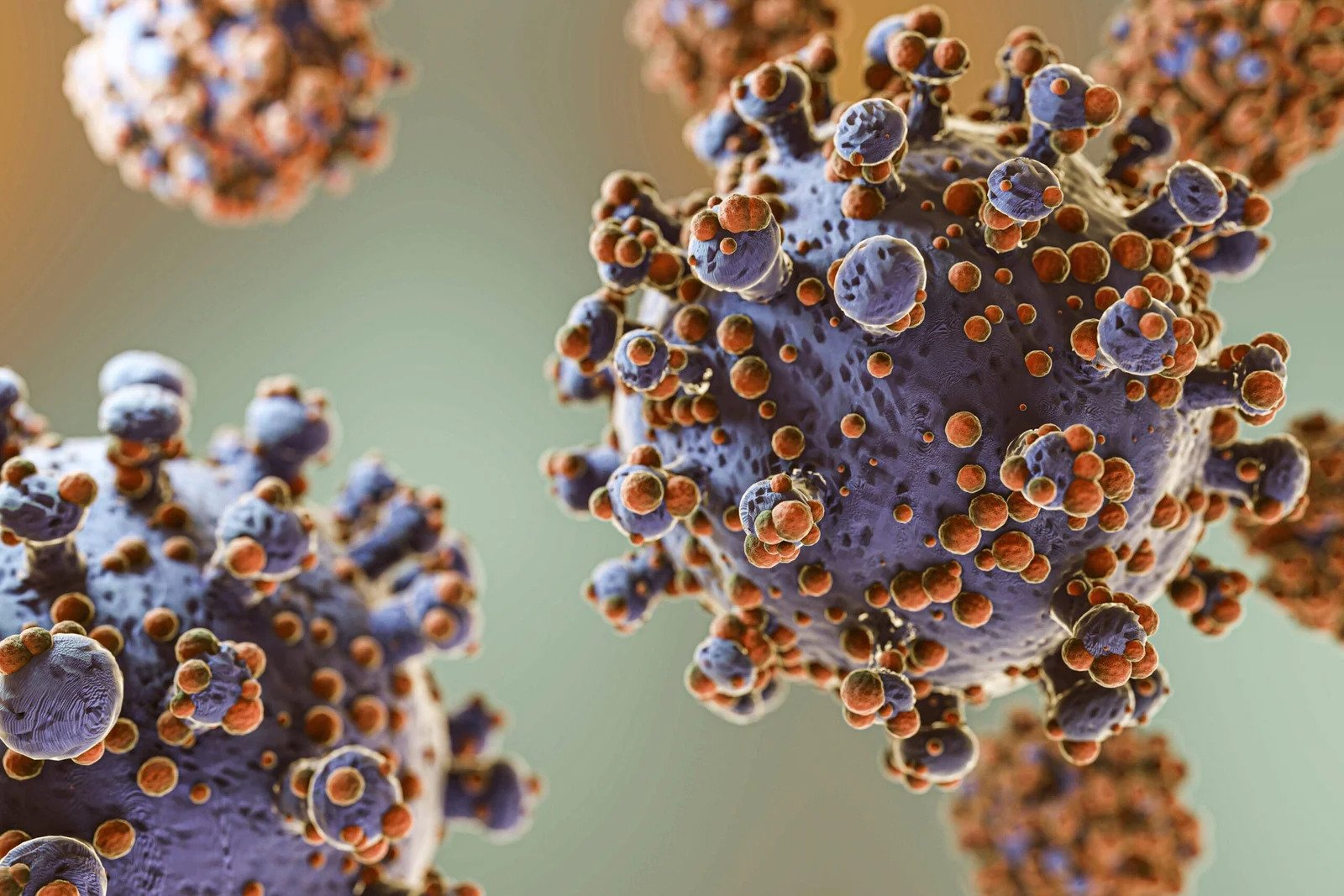 representation-microorganisms-concept-1-scaled