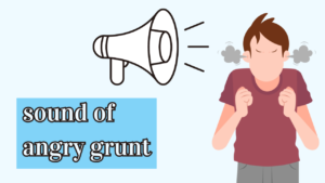 Read more about the article Sound of Angry Grunt : A Unique Study of Vocal Expressions
