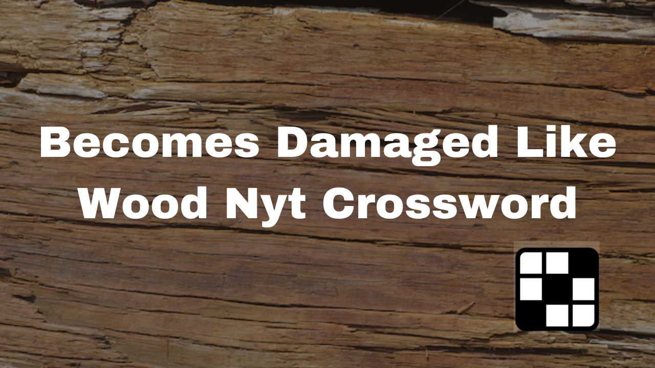 Read more about the article Becomes Damaged Like Wood: Tips for Prevention and Maintenance