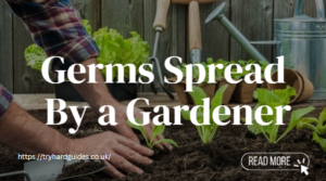 Read more about the article Understanding Germs Spread By a Gardener: Prevention and Safety Tips