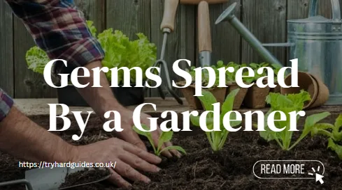 Germs Spread By a Gardener
