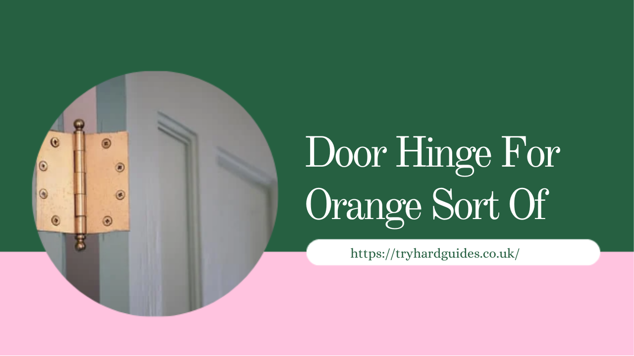 You are currently viewing Why Door Hinge for Orange Sort of is the Next Big Thing