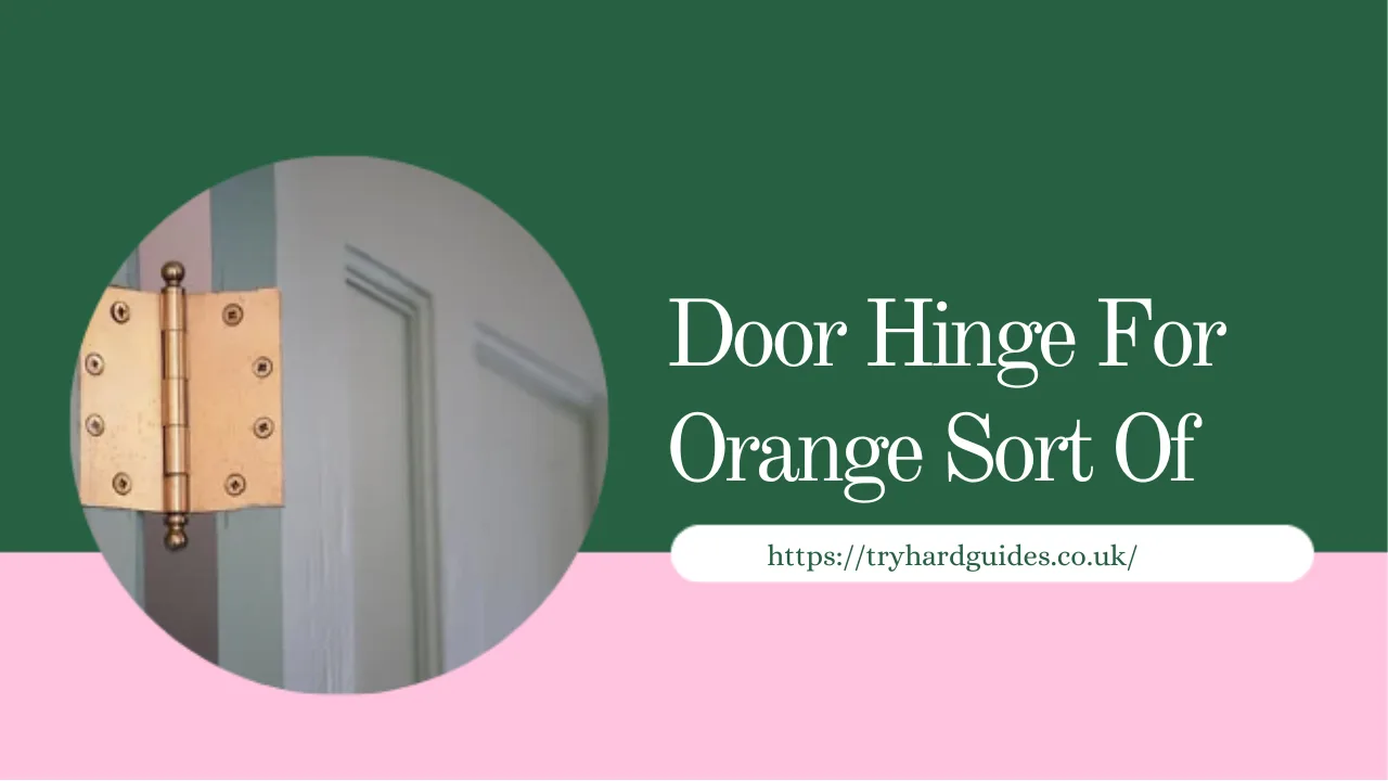 Stylish Door Hinge for Orange Sort of: Bold Design Ideas 19 door hinge for orange sort of