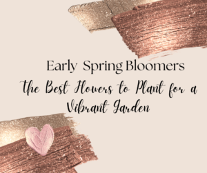 Read more about the article Early Spring Bloomers: The Best Flowers to Plant for a Vibrant Garden