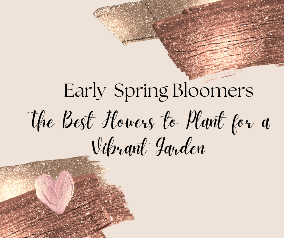 You are currently viewing Early Spring Bloomers: The Best Flowers to Plant for a Vibrant Garden