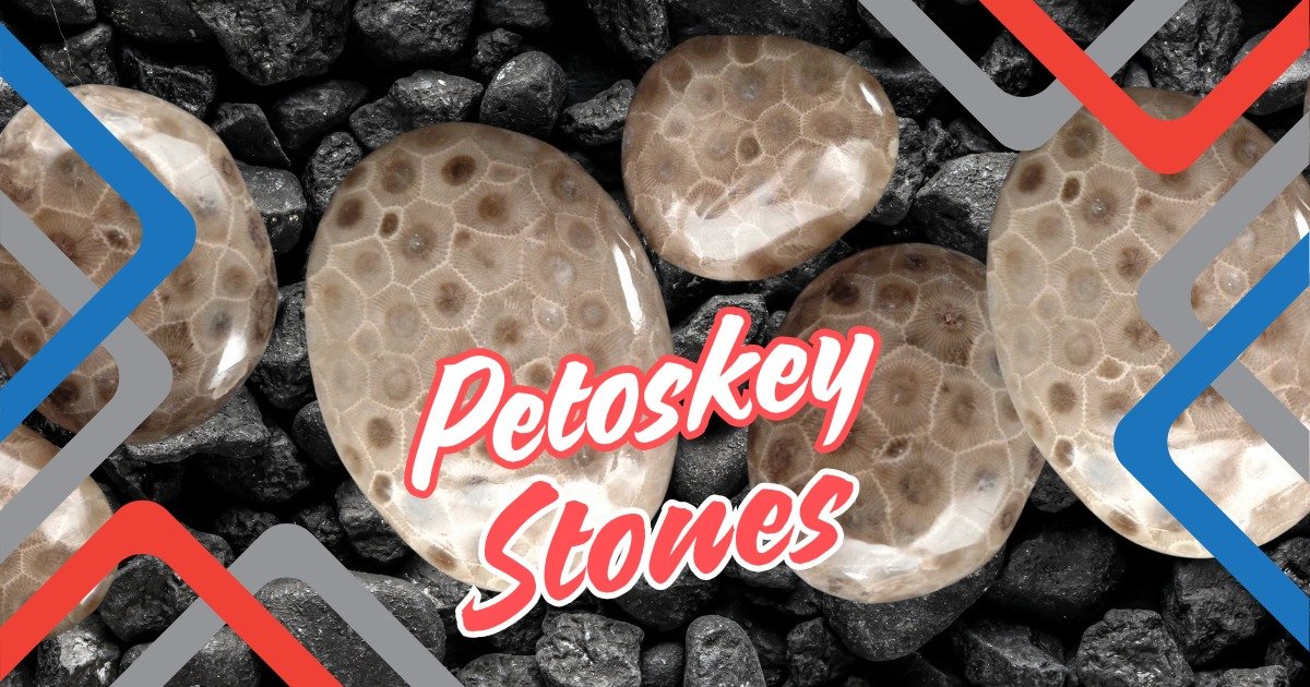 Read more about the article Unlock the Secrets of Petoskey Stones: Nature’s Hidden Treasures