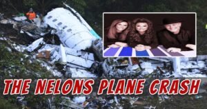 Read more about the article The Nelons Plane Crash: Uncovering the Causes and Consequences