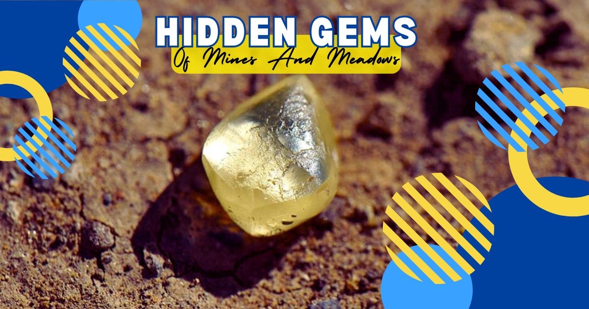 Read more about the article Discover the Hidden Gems of Mines and Meadows: A Journey of Wonder and Serenity