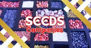 Read more about the article 10 Powerful Seed Companies You Can Trust for Thriving Gardens