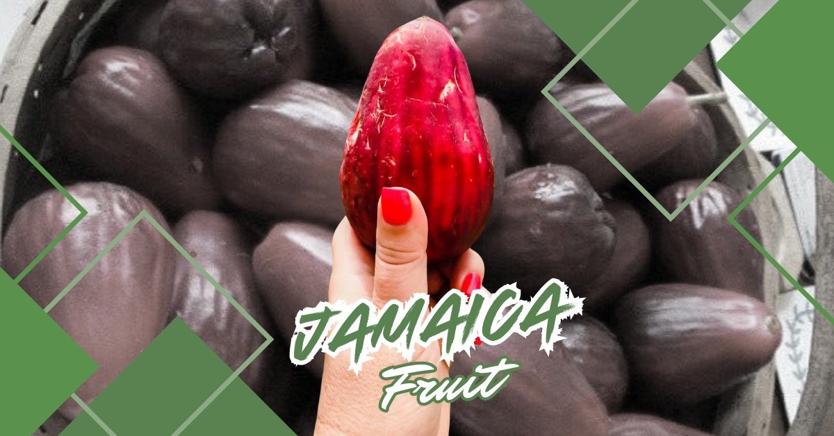 Read more about the article Discover the Amazing Health Benefits of Jamaica Fruit and Other Exotic Delights