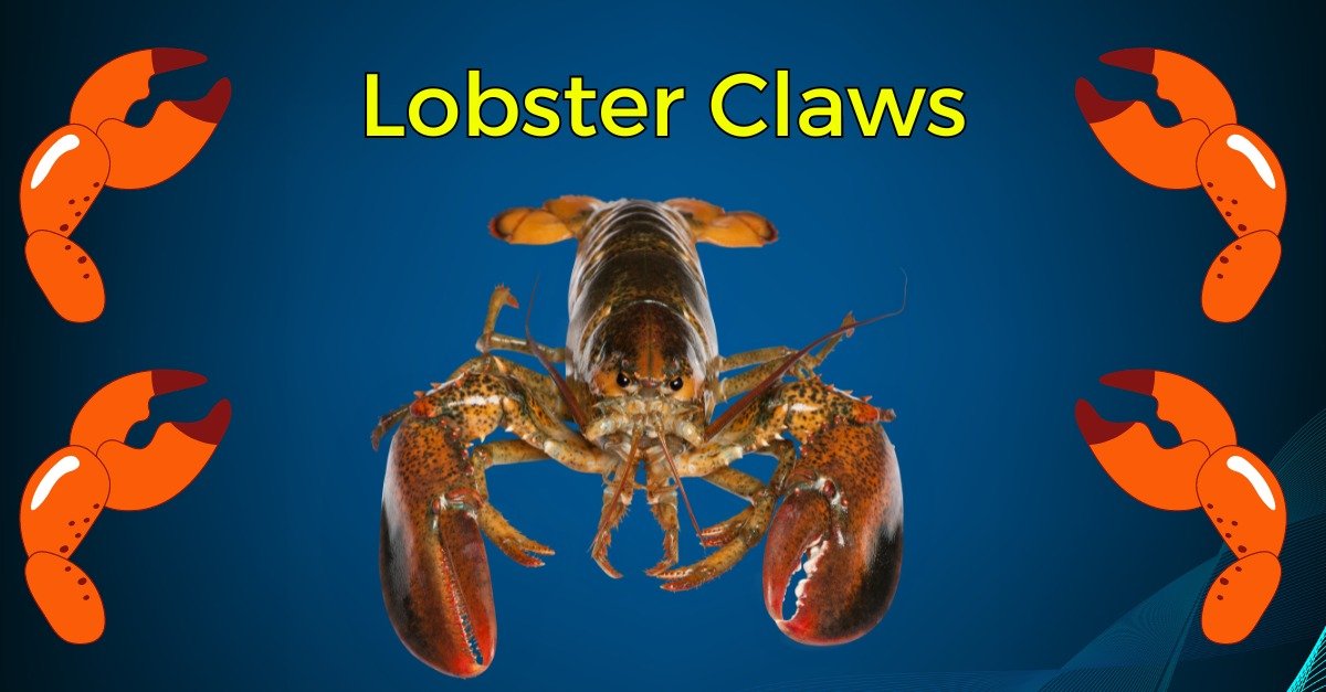 Read more about the article Discover the Delicious Secrets of Lobster Claws: A Culinary Treasure