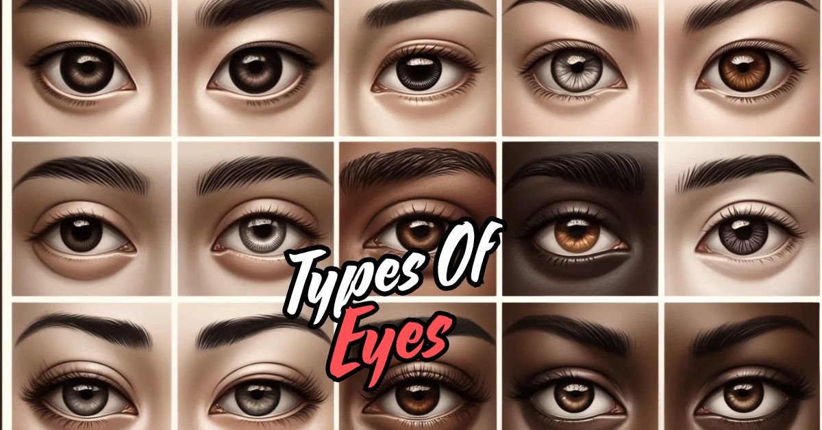 Read more about the article Unlock the Secrets: 10 Fascinating Types of Eyes That Will Inspire You