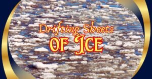 Read more about the article Discover the Amazing World of Drifting Sheets of Ice: Nature’s Frozen Marvels