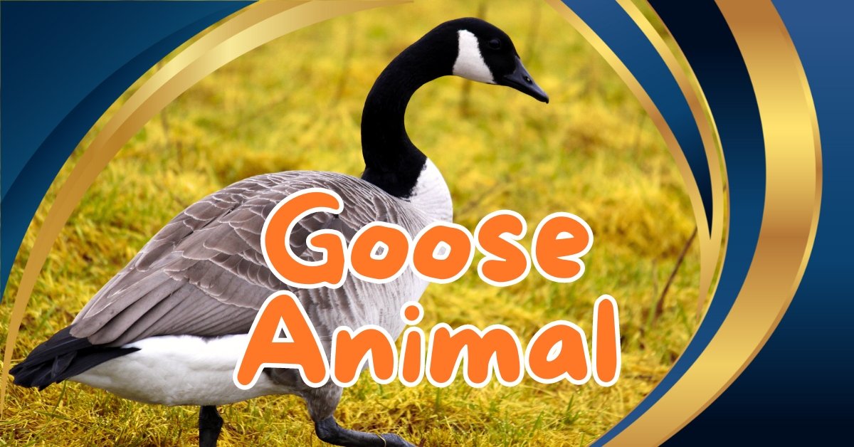 You are currently viewing Discover the Remarkable Lives of the Goose Animal: Nature’s Incredible Waterfowl