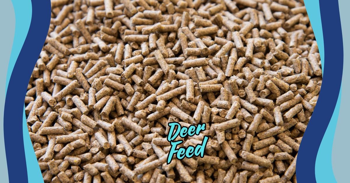 Read more about the article The Ultimate Guide to Deer Feed: Everything You Need to Know