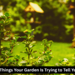 Things Your Garden Is Trying to Tell You