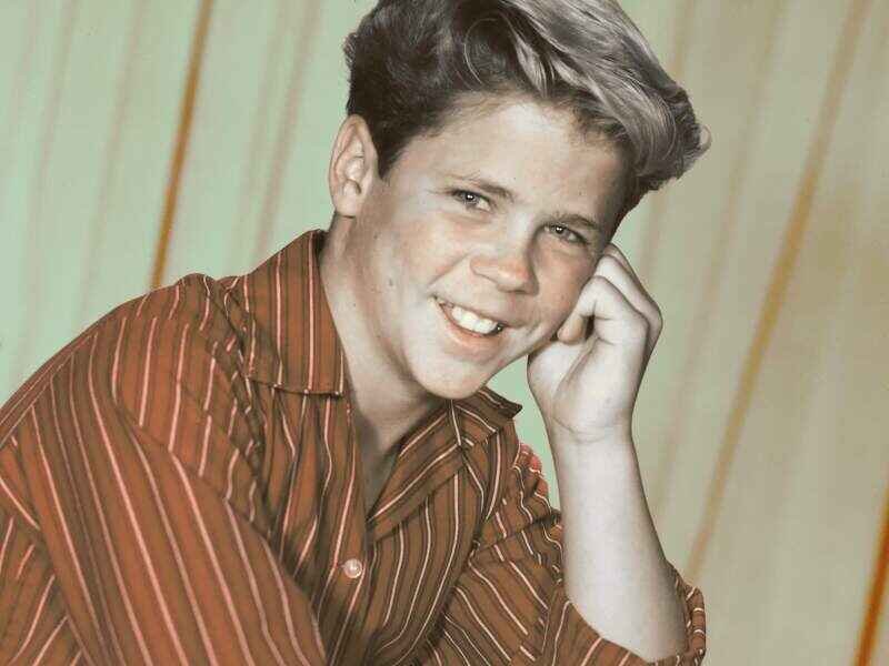 Tony Dow Net Worth – Life, Career, and Wealth Explained Simply 2 Young tony dow smiling