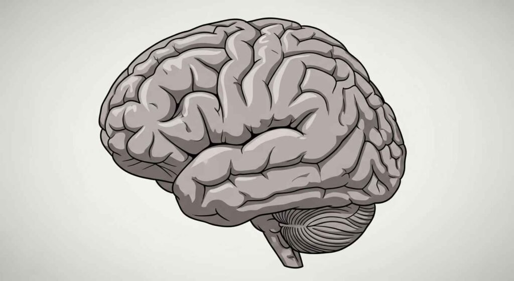 Tips for Completing Your Crossword Grid