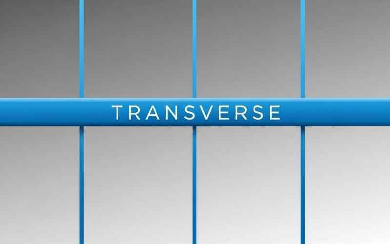 Why Transversely Crossword Clue is So Tricky