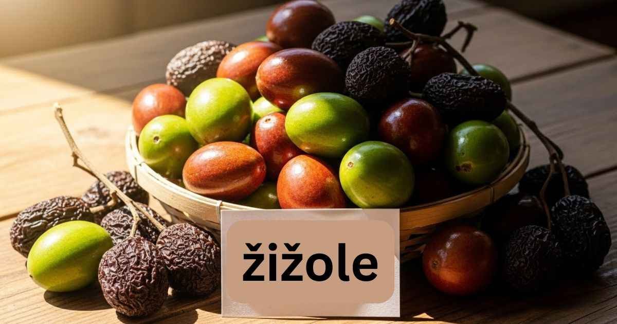 žižole