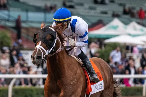 Is the “Suburban Trial Run” the Only Way to Beat the Mortgage Lock-In Effect?