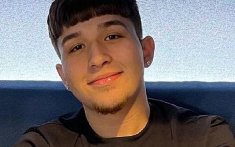 Quick Bio The Willito Fact Sheet