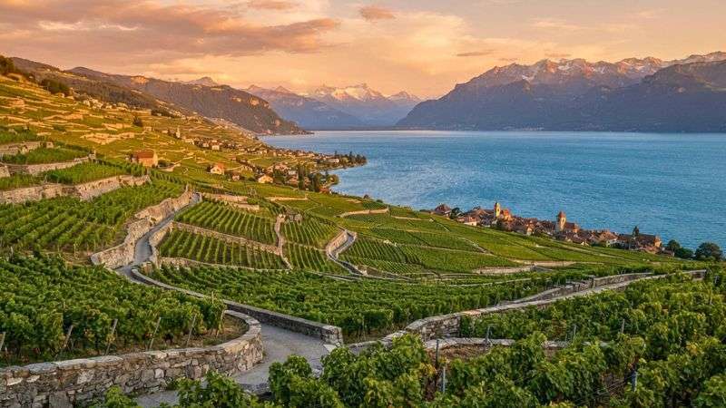 Lavaux vineyard terraces overlooking Lake Geneva at golden hour.